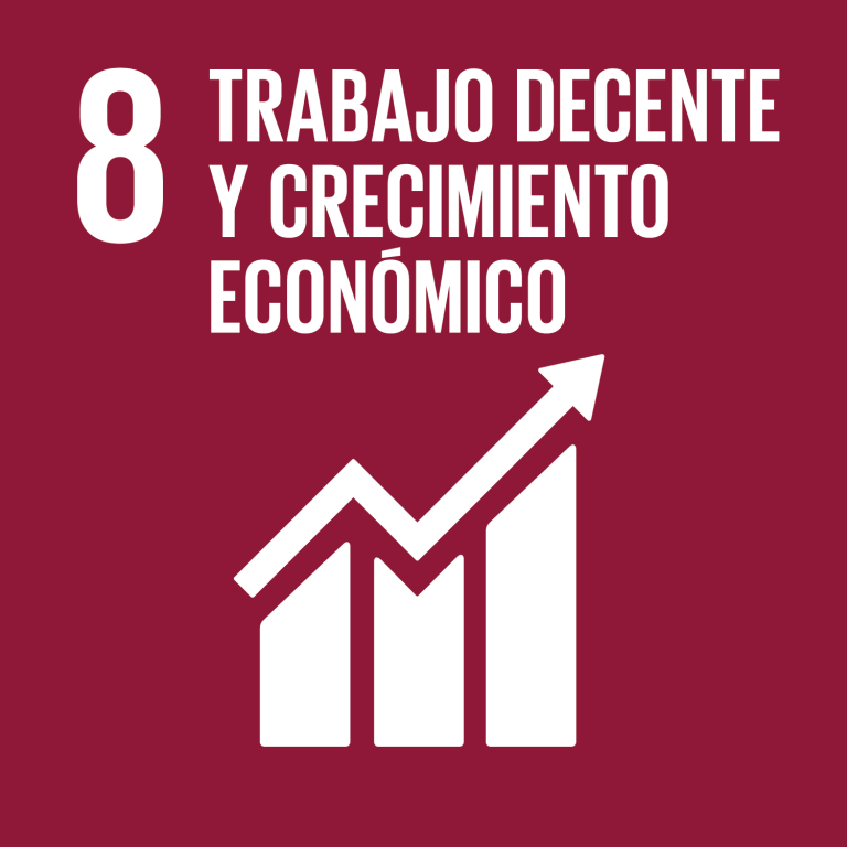 Trabajo decente y crecimiento económico. ODS – ONU