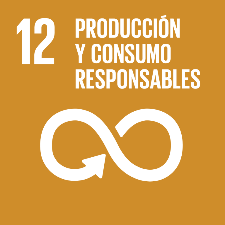 Producción y consumo responsables: ONU – ODS