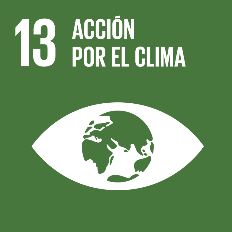 Acción por el clima: ONU-ODS
