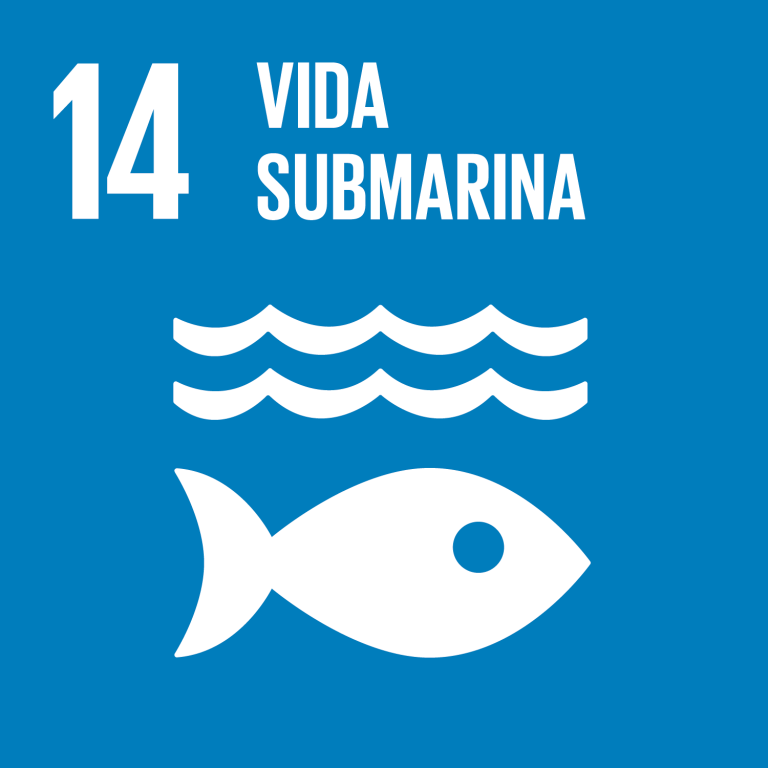 Conservar y utilizar en forma sostenible los océanos, mares y los recursos marinos…
