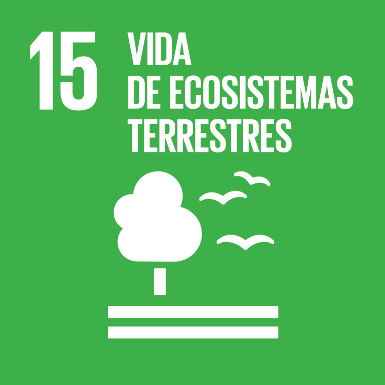 Vida de ecosistemas terrestres: ODS – ONU
